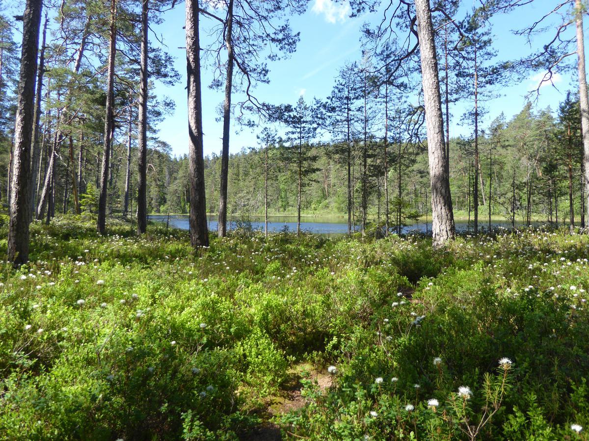 Ydrefors Bed & Breakfast Exterior foto